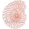 (lgs07020) Seashell Outline