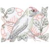 Bird with Oranges Multicolor