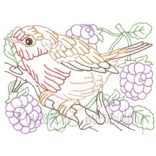 Bird with Raspberries Multicolor